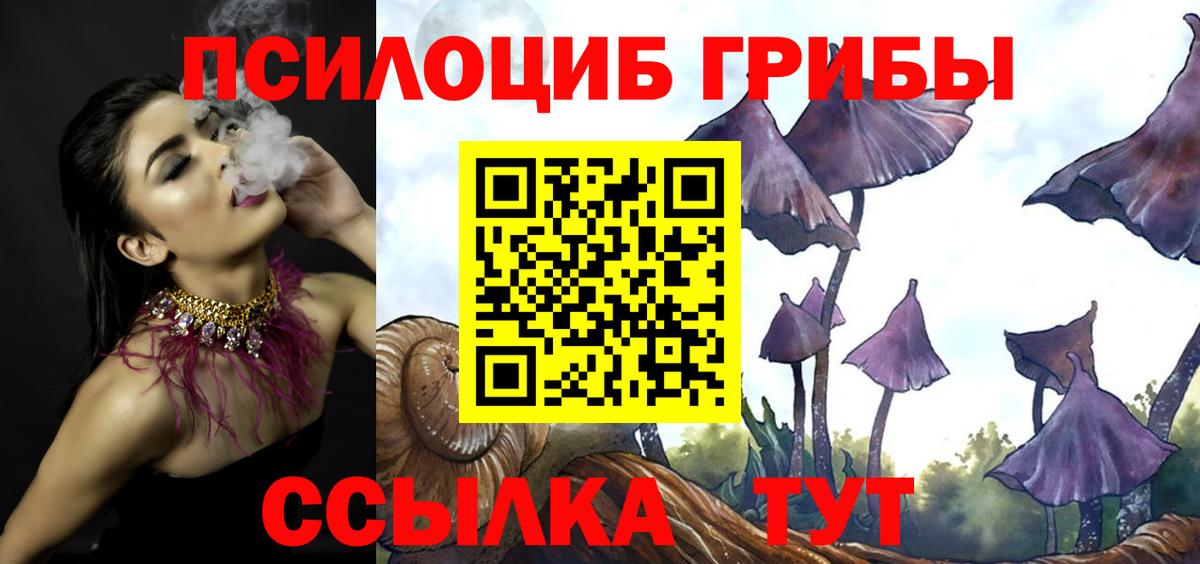 Светлоград  Галлюциногенные грибы ЛСД  Псилоцибиновые грибы мицелий  Вход с VPN 